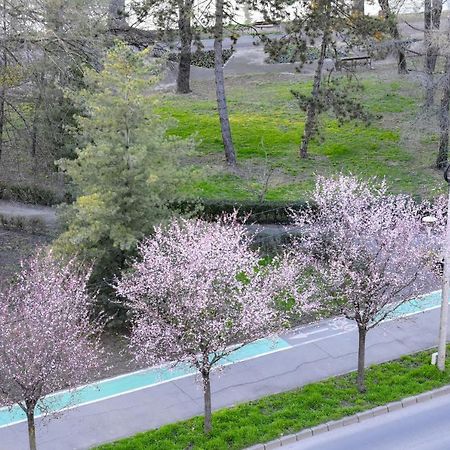 Riverside 1 Temešvár Exteriér fotografie